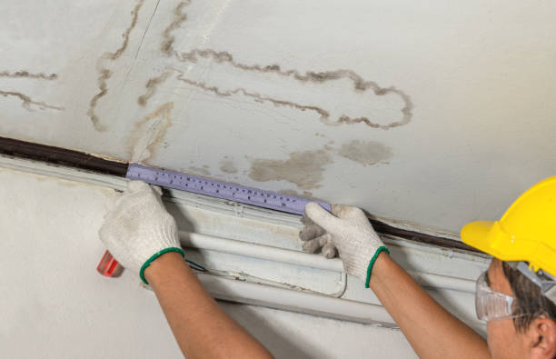 24/7 Emergency Water Damage Inspection experts in Millis, MA