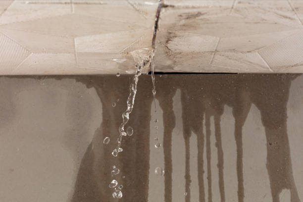 Professional Water Damage Inspection technician working in Millis, MA